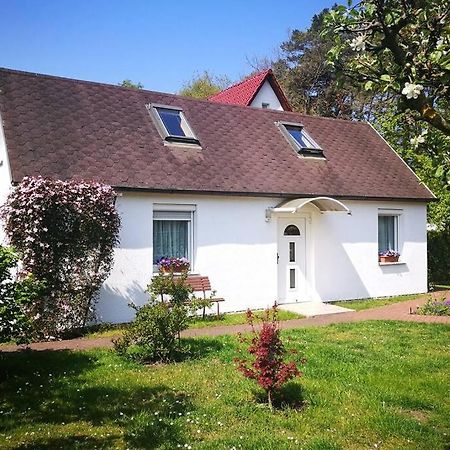Ferienhaus Im Igelbau Baabe Exteriör bild