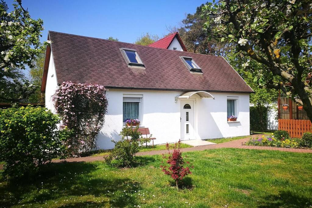 Ferienhaus Im Igelbau Baabe Exteriör bild